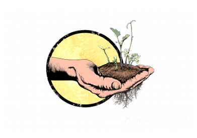 soil_animated